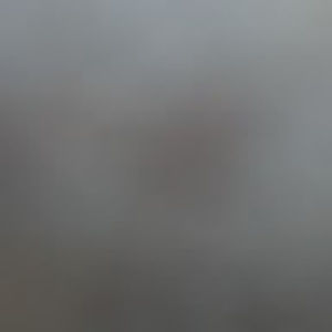 Meet your Posher, Cody